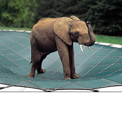 pool covers
