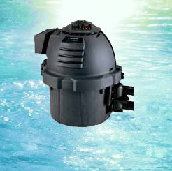 pool services