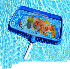 pool services