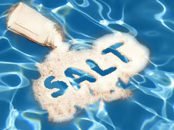 salt water system