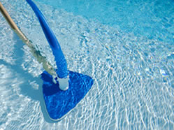 Pool Maintenance